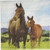 Horse & Pony Western Farm Animal Kids Birthday Party Paper Luncheon Napkins