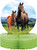Horse & Pony Western Farm Animal Kids Birthday Party Decoration Centerpiece