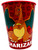 Pokemon Universe Nintendo Kids Birthday Party Favor 16 oz. Plastic Cup CHARIZARD