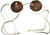 Coconut Bra Summer Luau Beach Fancy Dress Up Halloween Adult Costume Accessory