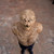 Beast Mask Beast Within Movie Fancy Dress Up Halloween Adult Costume Accessory