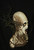 Branch Horridian Mask Parasomnia Fancy Dress Halloween Adult Costume Accessory