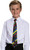 Hogwarts Houses Tie Harry Potter Fancy Dress Halloween Adult Costume Accessory