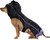 Bat Rubie's Pet Shop Animal Cute Funny Fancy Dress Up Haloween Dog Cat Costume