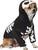 Skeleton Rubie's Pet Shop Cute Funny Fancy Dress Up Haloween Dog Cat Costume