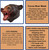 Cocoa Bear Latex Mask Animal Fancy Dress Up Halloween Adult Costume Accessory