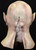 Night Creature Mask Adult Costume Accessory