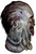 Mush Walker Mask Walking Dead Adult Costume Accessory