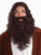 Biblical Wig & Beard Adult Costume Accessory