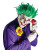 Arkham Asylum Joker Kit Wig Gloves Batman Clown Halloween Costume Accessory