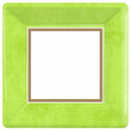 Avocado Green Border Party Bulk 10" Square Banquet Plates