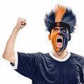 Detroit Tigers Fuzz Head Wig MLB Baseball Costume Accessory