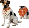 Turkey Tester Reversible Bandana Fancy Dress Thanksgiving Pet Costume Accessory