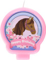 Saddle Up Cowgirl Horses Animal Birthday Party Decoration Molded Cake Candle