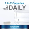 Capsule beside a glass of water, 1 to 2 capsules 3 times daily graphic