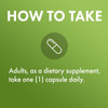 How to take graphic, adults take one capsule daily