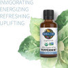 Garden of Life Peppermint Essential Oil Organic - 1 Ounce