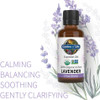 Lavender oil bottle with lavender sprigs, calming, balancing, soothing graphic
