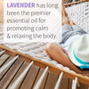 Person relaxing in a hammock, lavender premier essential oil for promoting calm graphic