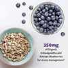 Ashwagandha root pieces and a bowl of blueberries, 350 mg organic ashwagandha and Alaskan blueberries