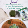 Perfect Food canister with green powder and drink, juiced and low-temperature dried graphic