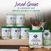 Garden of Life Perfect Food Raw-Alkalizer-Detoxifier Organic Powder - 285 Grams