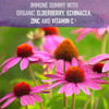 Echinacea flowers, gummy with organic elderberry, echinacea, zinc and vitamin C graphic