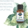 Peppermint Essential Oil bottle with mint leaves, invigorating, energizing, refreshing graphic