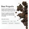 Pieces of raw bee propolis, bee propolis naturally contains vitamins and minerals