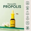 Nasal spray with a flower and bee, powered by propolis graphic with formulation icons