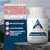 Boswelya Plus bottle on a rock, Ayurvedic herbal joint formula graphic