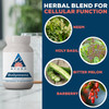 Ayush Herbs BioGymnema - 90 Capsules