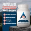 VegenzymePlus bottle on a rock with healthy digestion and nutrient absorption icons