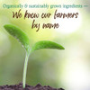 Seedling sprouting from soil, organically grown ingredients, we know our farmers by name