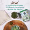 Perfect Food canister with green drink, juiced and low-temperature dried graphic