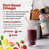 Pink Lemonade bottle with a smoothie and fruit, plant based omegas serving ideas graphic