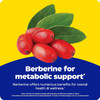 Red barberries and leaves, berberine for metabolic support graphic