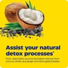 Coconut and charcoal pieces, Activated Charcoal Plus ingredients graphic