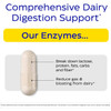 Capsule illustration, comprehensive dairy digestion support graphic