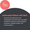 Antioxidant blend with NAC graphic listing alpha lipoic acid, trimethylglycine and ribonucleic acid