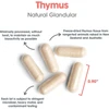 Thymus capsules beside a 0.90 inch size marker with sourcing callouts