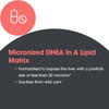 Allergy Research Group DHEA 10mg Micronized Lipid Matrix - 60 tablets
