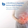 Person with an illustrated liver outline, L-Ornithine-L-Aspartate amino acid complex graphic