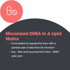 Allergy Research Group DHEA 50mg Micronized Lipid Matrix - 60 tablets