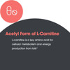 Allergy Research Group Acetyl L-Carnitine 500mg - 100 capsules