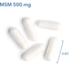 MSM 500 mg capsules beside a 0.85 inch size marker