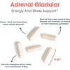 Adrenal Natural Glandular capsules measuring 0.85 inches with sourcing notes