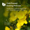 Yellow evening primrose flowers, cold-pressed evening primrose minimum 9% GLA graphic