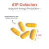 Allergy Research Group ATP Cofactor - 90 tablets