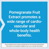 Pomegranate Fruit Extract benefits text graphic